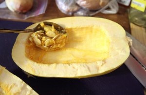 2015-spaghetti-squash 006