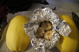 2015-spaghetti-squash 013