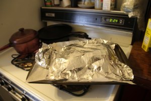 2015-spaghetti-squash 014