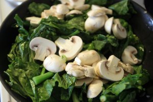 2015-gailan-mushroom 014