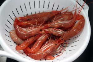 2015-bc-spot-prawns 003