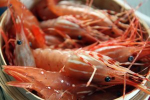 2015-bc-spot-prawns 005