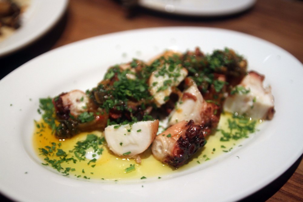 2016-Nightingale 007