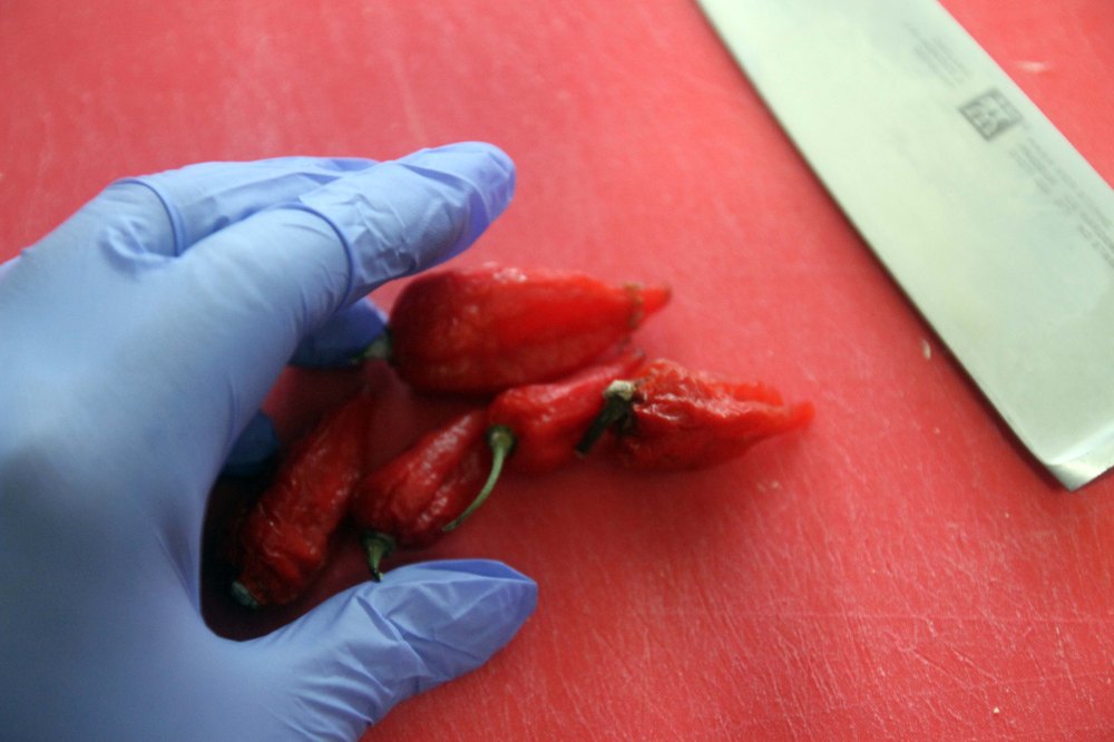 2016-ghost-wings-013